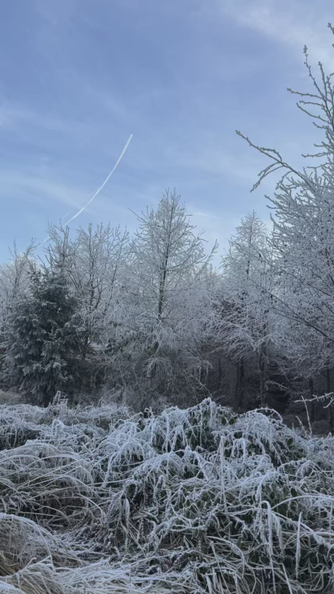 Video laden: Schnell sein.